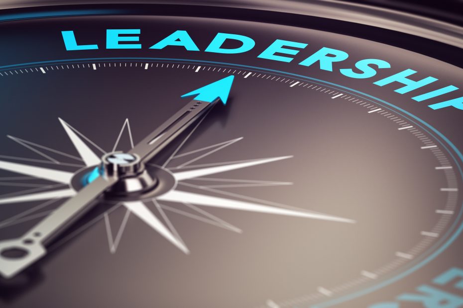 Leadership Intelligence: Crafting the Vision for Tomorrow